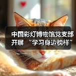 中国彩灯博物馆党支部开展 “学习身边榜样”报告宣讲 暨“我为群众办实事”志愿服务活动(图4) 中国彩灯博物馆党支部开展 “学习身边榜样”报告宣讲 暨“我为群众办实事”志愿服务活动(图4)