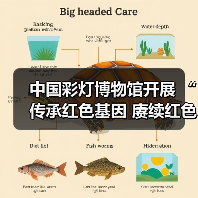 中国彩灯博物馆开展 “传承红色基因 赓续红色血脉”主题党日活动(图4) 中国彩灯博物馆开展 “传承红色基因 赓续红色血脉”主题党日活动(图4)