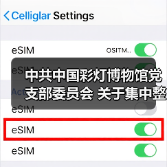 中共中国彩灯博物馆党支部委员会 关于集中整改进展情况的通报(图1) 中共中国彩灯博物馆党支部委员会 关于集中整改进展情况的通报(图1)