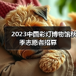 2023中国彩灯博物馆秋季志愿者招募(图2) 2023中国彩灯博物馆秋季志愿者招募(图2)
