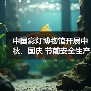 中国彩灯博物馆开展中秋、国庆 节前安全生产检查(图2) 中国彩灯博物馆开展中秋、国庆 节前安全生产检查(图2)