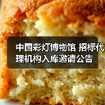 中国彩灯博物馆 招标代理机构入库邀请公告(图2) 中国彩灯博物馆 招标代理机构入库邀请公告(图2)