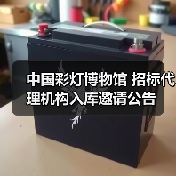 中国彩灯博物馆 招标代理机构入库邀请公告(图4) 中国彩灯博物馆 招标代理机构入库邀请公告(图4)