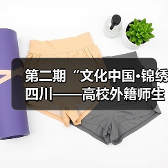 第二期“文化中国·锦绣四川——高校外籍师生巴蜀文化品悟之旅”走进中国彩灯博物馆（图2）