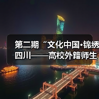 第二期“文化中国·锦绣四川——高校外籍师生巴蜀文化品悟之旅”走进中国彩灯博物馆（图4）
