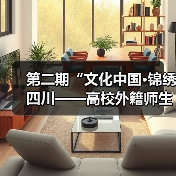 第二期“文化中国·锦绣四川——高校外籍师生巴蜀文化品悟之旅”走进中国彩灯博物馆（图3）