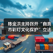 陈金洪主持召开“自贡市彩灯文化保护”立法起草小组会议(图4) 陈金洪主持召开“自贡市彩灯文化保护”立法起草小组会议(图4)