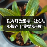 以彩灯为纽带，让心与心相连｜博物馆开展“爱耳日”志愿服务活动（图4）