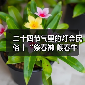 二十四节气里的灯会民俗丨“祭春神 鞭春牛 迎春接福说春忙——立春节气里的灯会民俗亲子”研学活动(图4) 二十四节气里的灯会民俗丨“祭春神 鞭春牛 迎春接福说春忙——立春节气里的灯会民俗亲子”研学活动(图4)