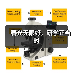 春光无限好,研学正当时(图4) 春光无限好,研学正当时(图4)