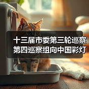 十三届市委第三轮巡察第四巡察组向中国彩灯博物馆(自贡彩灯公园管理中心)反馈巡察情况(图2) 十三届市委第三轮巡察第四巡察组向中国彩灯博物馆(自贡彩灯公园管理中心)反馈巡察情况(图2)