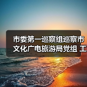 市委第一巡察组巡察市文化广电旅游局党组 工作动员会议召开(图3) 市委第一巡察组巡察市文化广电旅游局党组 工作动员会议召开(图3)