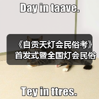 《自贡天灯会民俗考》首发式暨全国灯会民俗学术研讨会成功举办（图3）