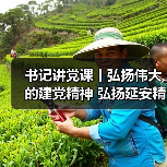 书记讲党课丨弘扬伟大的建党精神 弘扬延安精神（图2）