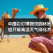 中国彩灯博物馆园林班组开展高温天气绿化养护工作(图2) 中国彩灯博物馆园林班组开展高温天气绿化养护工作(图2)