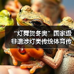 “灯舞贺冬奥”国家级非遗涉灯类传统体育传统舞蹈项目线上展示活动之十六：板板龙灯（图2）