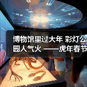博物馆里过大年 彩灯公园人气火 ——虎年春节“黄金周”馆园文旅活动情况综述（图4）