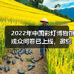 2022年中国彩灯博物馆观众问卷已上线，邀您畅所欲言（图4）