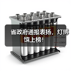 省政府通报表扬,灯博馆上榜!(图1) 省政府通报表扬,灯博馆上榜!(图1)