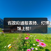 省政府通报表扬,灯博馆上榜!(图4) 省政府通报表扬,灯博馆上榜!(图4)