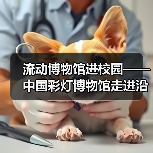 流动博物馆进校园——中国彩灯博物馆走进沿滩区联络镇中心小学校、富顺县李桥镇高滩九年制学校、荣县正安学校（图2）