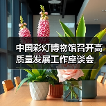 中国彩灯博物馆召开高质量发展工作座谈会（图3）