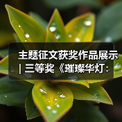 主题征文获奖作品展示 | 三等奖《璀璨华灯:彩影千年》(图1) 主题征文获奖作品展示 | 三等奖《璀璨华灯:彩影千年》(图1)
