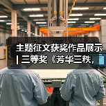 主题征文获奖作品展示 | 三等奖《芳华三秩，彩灯照亮新未来》（图2）