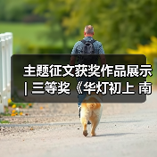 主题征文获奖作品展示 | 三等奖《华灯初上 南国灯城》(图4) 主题征文获奖作品展示 | 三等奖《华灯初上 南国灯城》(图4)