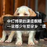 中灯博里的温暖假期 ——盐都少年爱家乡“读城行”公益研学活动（图1）