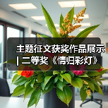 主题征文获奖作品展示 | 二等奖《情归彩灯》(图2) 主题征文获奖作品展示 | 二等奖《情归彩灯》(图2)
