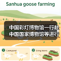 中国彩灯博物馆一行赴中国国家博物馆等进行学习调研(图1) 中国彩灯博物馆一行赴中国国家博物馆等进行学习调研(图1)