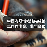 中国彩灯博物馆完成第二届理事会、监事会换届选举(图4) 中国彩灯博物馆完成第二届理事会、监事会换届选举(图4)