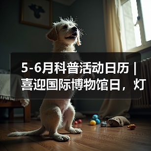 5-6月科普活动日历 | 喜迎国际博物馆日，灯博这些缤纷活动等你来！（图1）