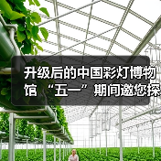 升级后的中国彩灯博物馆 “五一”期间邀您探索灯文化魅力(图4) 升级后的中国彩灯博物馆 “五一”期间邀您探索灯文化魅力(图4)