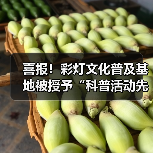 喜报!彩灯文化普及基地被授予“科普活动先进集体”荣誉称号(图1) 喜报!彩灯文化普及基地被授予“科普活动先进集体”荣誉称号(图1)