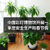 中国彩灯博物馆开展一季度安全生产和春节假日工作会议及安全隐患大排查行动(图4) 中国彩灯博物馆开展一季度安全生产和春节假日工作会议及安全隐患大排查行动(图4)