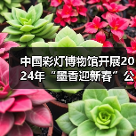 中国彩灯博物馆开展2024年“墨香迎新春”公益活动（图2）