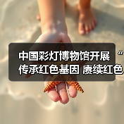 中国彩灯博物馆开展 “传承红色基因 赓续红色血脉”主题党日活动(图4) 中国彩灯博物馆开展 “传承红色基因 赓续红色血脉”主题党日活动(图4)