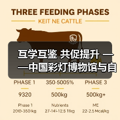 互学互鉴 共促提升 ——中国彩灯博物馆与自贡恐龙博物馆开展馆际交流活动(图1) 互学互鉴 共促提升 ——中国彩灯博物馆与自贡恐龙博物馆开展馆际交流活动(图1)