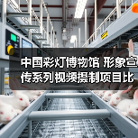中国彩灯博物馆 形象宣传系列视频摄制项目比选公告(图4) 中国彩灯博物馆 形象宣传系列视频摄制项目比选公告(图4)