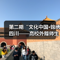 第二期“文化中国·锦绣四川——高校外籍师生巴蜀文化品悟之旅”走进中国彩灯博物馆(图2) 第二期“文化中国·锦绣四川——高校外籍师生巴蜀文化品悟之旅”走进中国彩灯博物馆(图2)