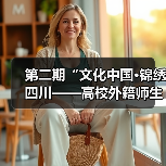 第二期“文化中国·锦绣四川——高校外籍师生巴蜀文化品悟之旅”走进中国彩灯博物馆(图4) 第二期“文化中国·锦绣四川——高校外籍师生巴蜀文化品悟之旅”走进中国彩灯博物馆(图4)
