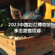 2023中国彩灯博物馆秋季志愿者招募(图4) 2023中国彩灯博物馆秋季志愿者招募(图4)