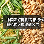 中国彩灯博物馆 招标代理机构入库邀请公告(图3) 中国彩灯博物馆 招标代理机构入库邀请公告(图3)