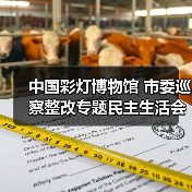 中国彩灯博物馆 市委巡察整改专题民主生活会暨 2022年度党员领导干部民主生活会召开(图1) 中国彩灯博物馆 市委巡察整改专题民主生活会暨 2022年度党员领导干部民主生活会召开(图1)