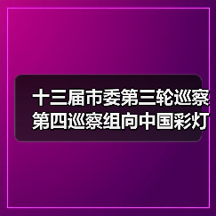 十三届市委第三轮巡察第四巡察组向中国彩灯博物馆(自贡彩灯公园管理中心)反馈巡察情况(图2) 十三届市委第三轮巡察第四巡察组向中国彩灯博物馆(自贡彩灯公园管理中心)反馈巡察情况(图2)
