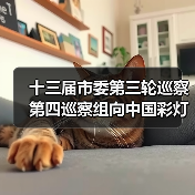十三届市委第三轮巡察第四巡察组向中国彩灯博物馆(自贡彩灯公园管理中心)反馈巡察情况(图3) 十三届市委第三轮巡察第四巡察组向中国彩灯博物馆(自贡彩灯公园管理中心)反馈巡察情况(图3)