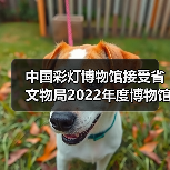 中国彩灯博物馆接受省文物局2022年度博物馆绩效实地考评(图3) 中国彩灯博物馆接受省文物局2022年度博物馆绩效实地考评(图3)