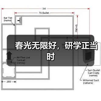 春光无限好，研学正当时（图3）